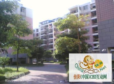 写字楼 商铺 商场 广告