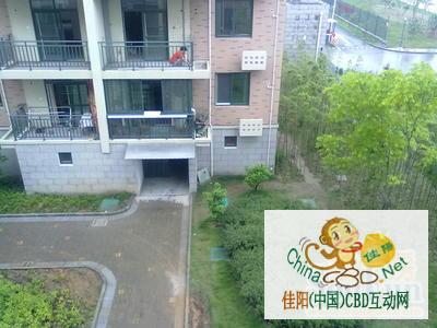 写字楼 商铺 商场 广告