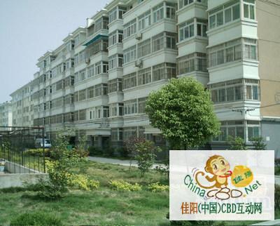 写字楼 商铺 商场 广告