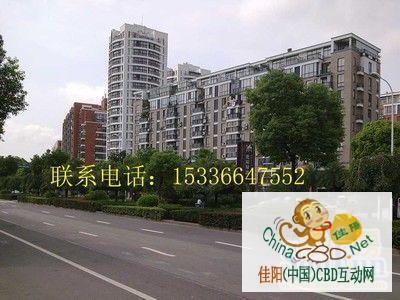 写字楼 商铺 商场 广告