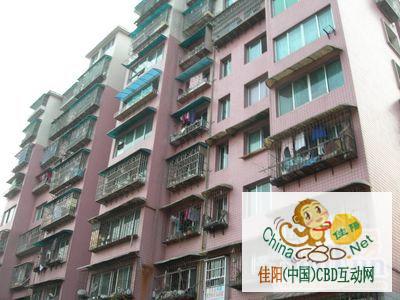 写字楼 商铺 商场 广告