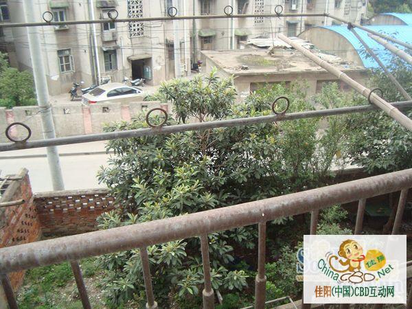 写字楼 商铺 商场 广告