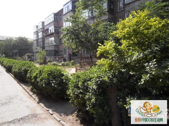 写字楼 商铺 商场 广告