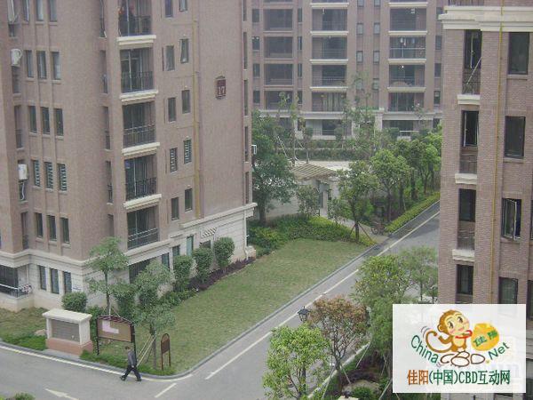 写字楼 商铺 商场 广告