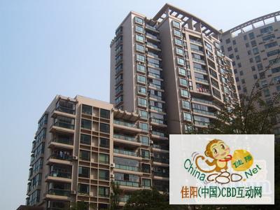 写字楼 商铺 商场 广告