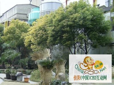 写字楼 商铺 商场 广告
