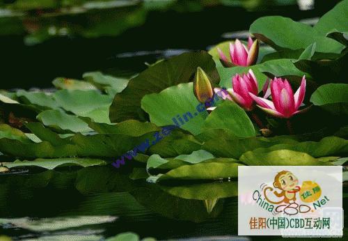 写字楼 商铺 商场 广告