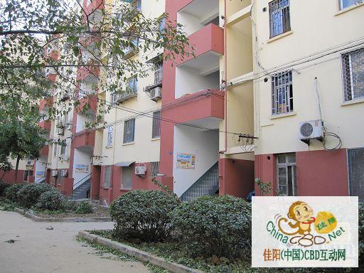 写字楼 商铺 商场 广告