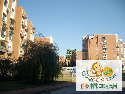 写字楼 商铺 商场 广告